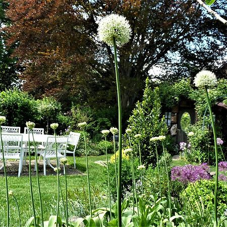 Le Jardin Des Miroirs Bed & Breakfast Esneux Екстериор снимка