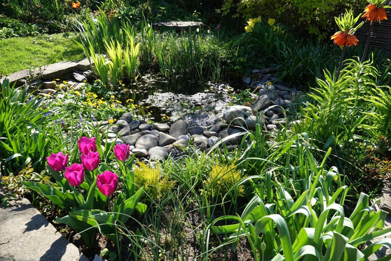 Le Jardin Des Miroirs Bed & Breakfast Esneux Екстериор снимка