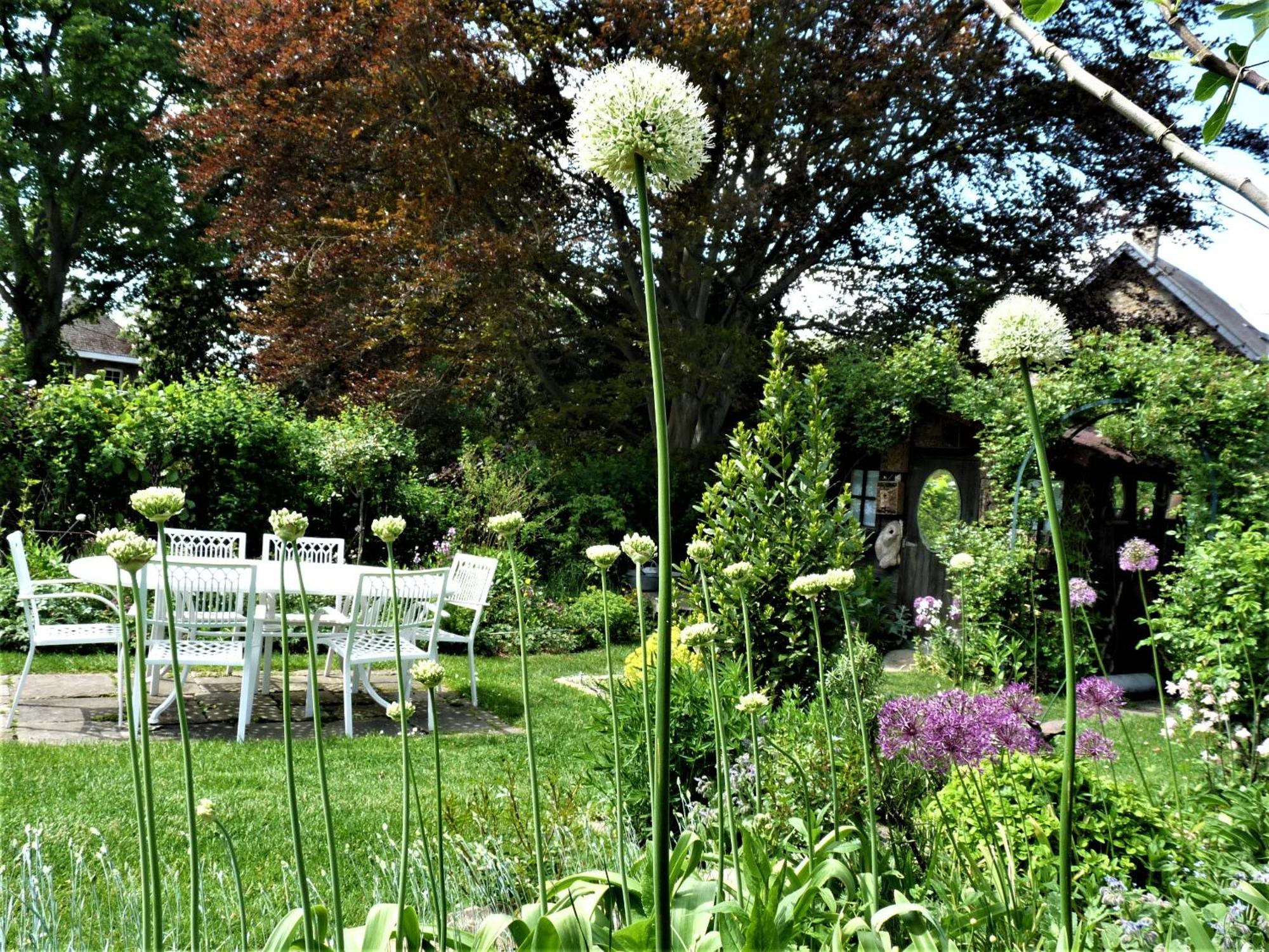 Le Jardin Des Miroirs Bed & Breakfast Esneux Екстериор снимка